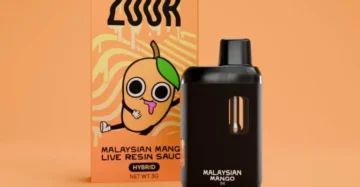 Zoor 3g Disposable – Malaysian Mango